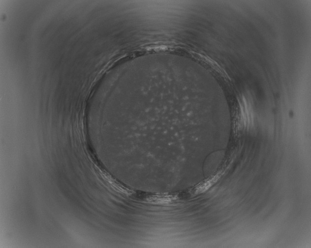 X0000078290661200611031233