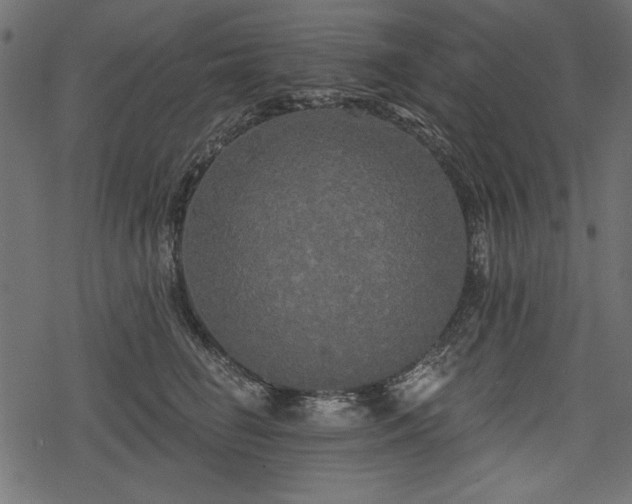 X0000078290662200611031233