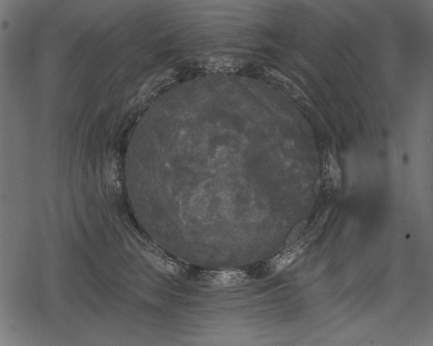 X0000078290663200611031233