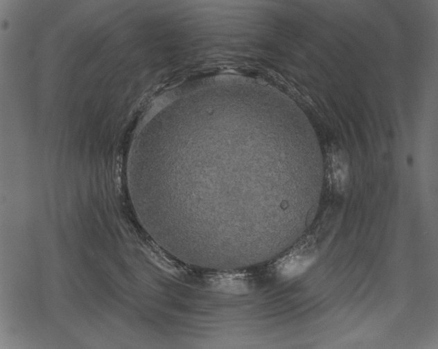 X0000078290664200611031233