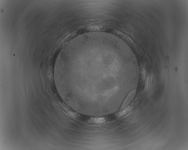 X0000078290665200611031233