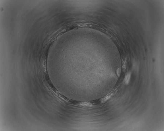 X0000078290666200611031233