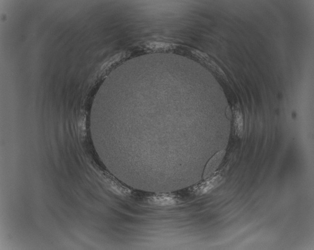 X0000078290668200611031233