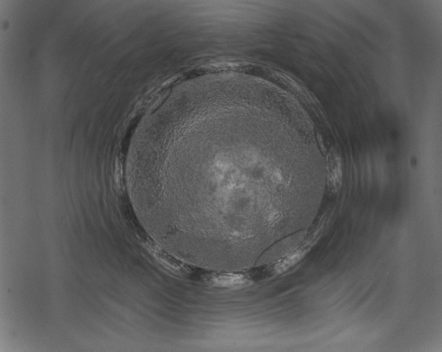 X0000078290669200611031233