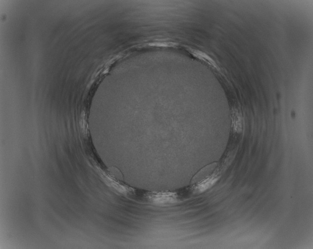 X0000078290670200611031233