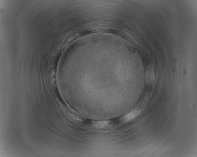 X0000078290671200611031233