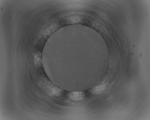 X0000078290672200611031233