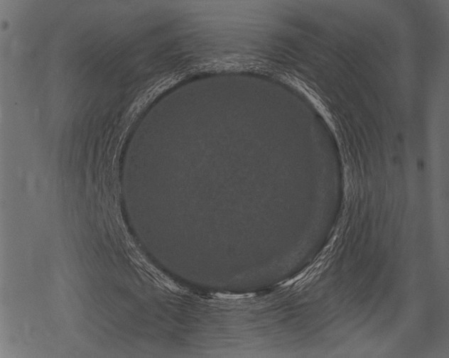 X0000078290673200611031232