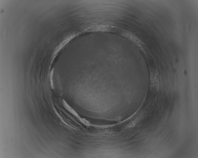 X0000078290674200611031232