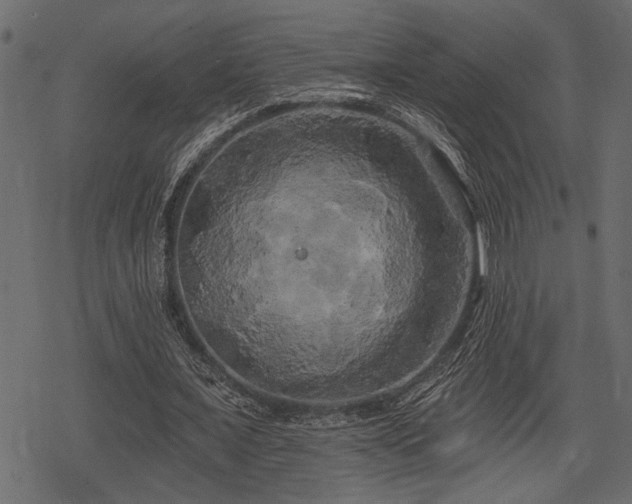 X0000078290675200611031232