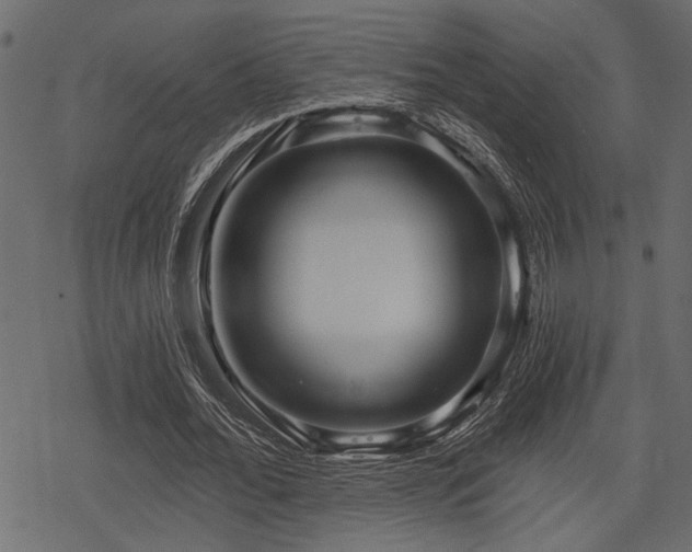 X0000078290676200611031232