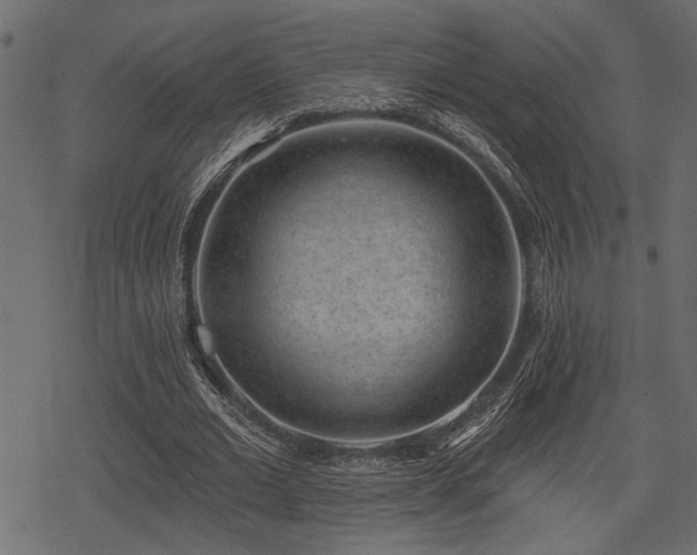 X0000078290677200611031232