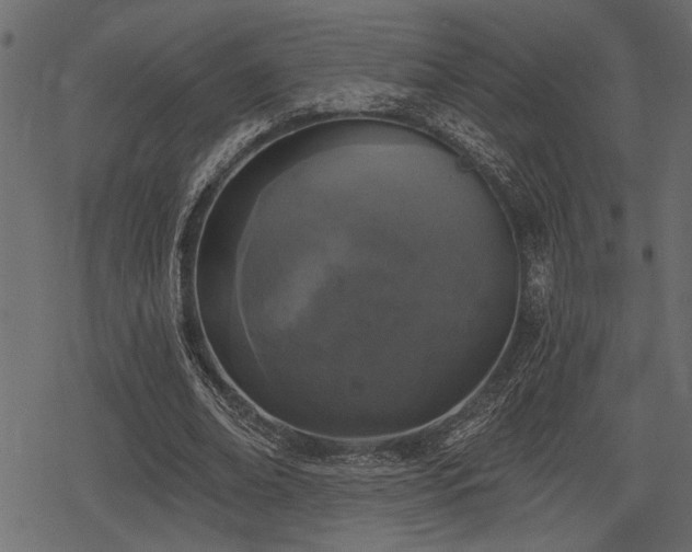 X0000078290678200611031232