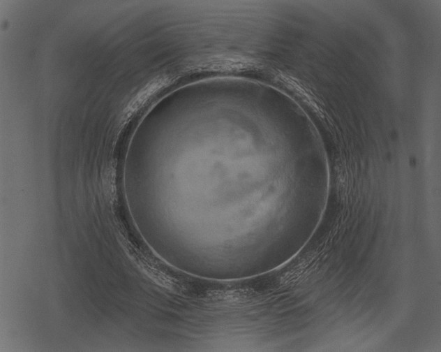 X0000078290679200611031232