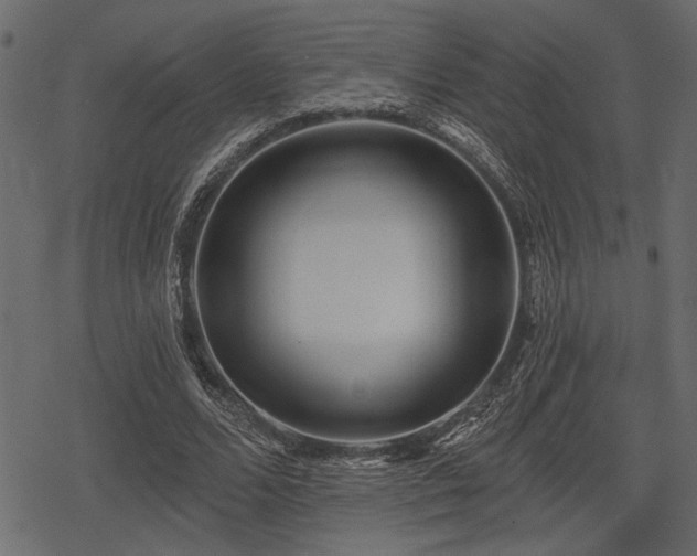 X0000078290680200611031232