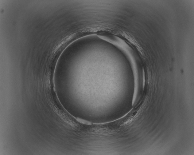 X0000078290681200611031232