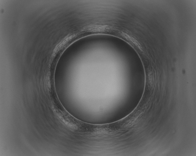 X0000078290682200611031232