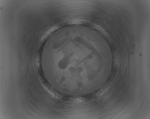 X0000078290683200611031232