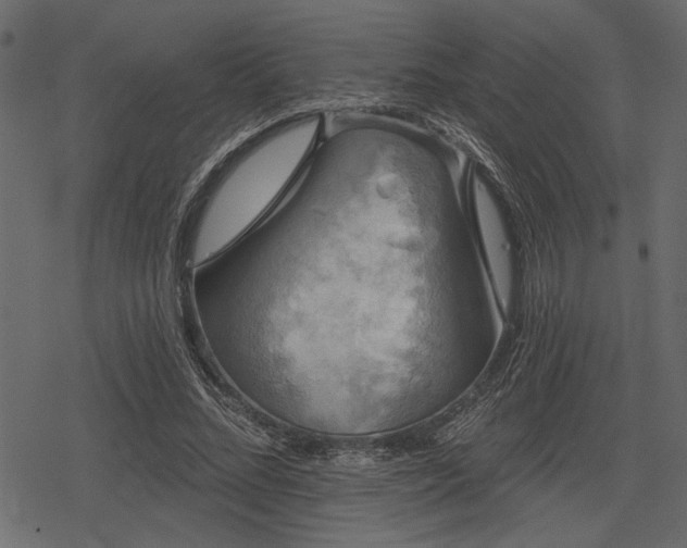 X0000078290684200611031232