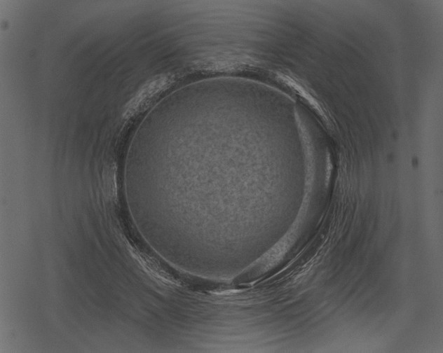 X0000078290685200611031232