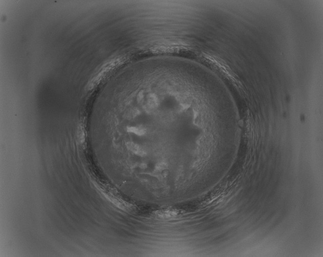 X0000078290687200611031232