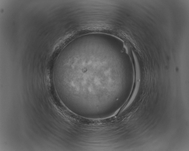 X0000078290688200611031232