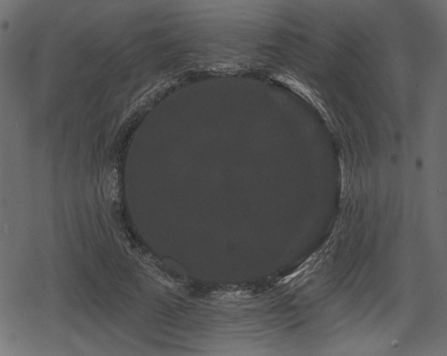 X0000078290689200611031232