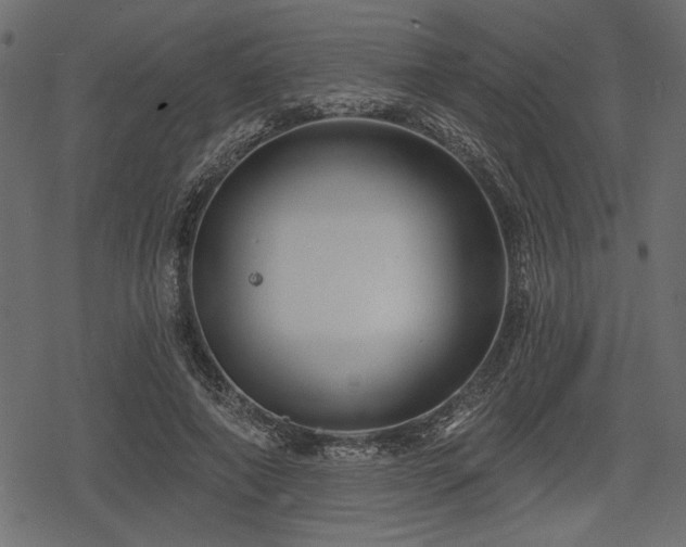 X0000078290690200611031232