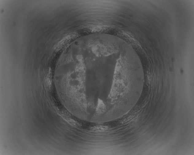 X0000078290691200611031232