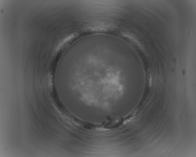 X0000078290692200611031232