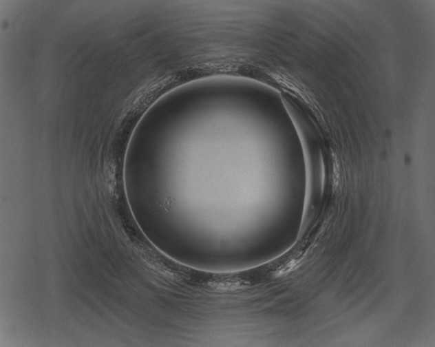 X0000078290693200611031232