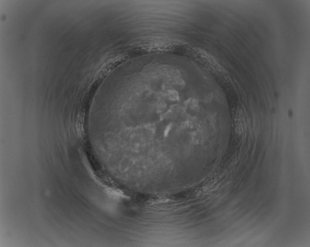 X0000078290695200611031232