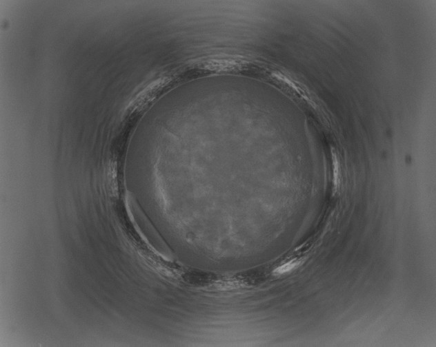 X0000078290696200611031232