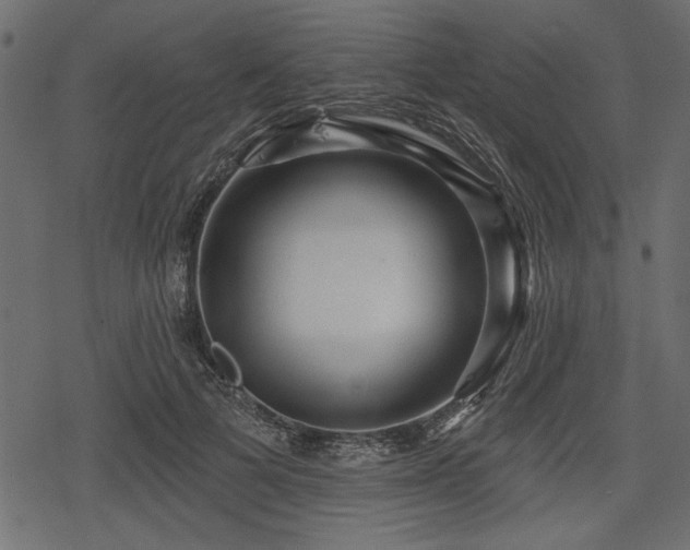 X0000078290697200611031232