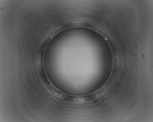 X0000078290698200611031232