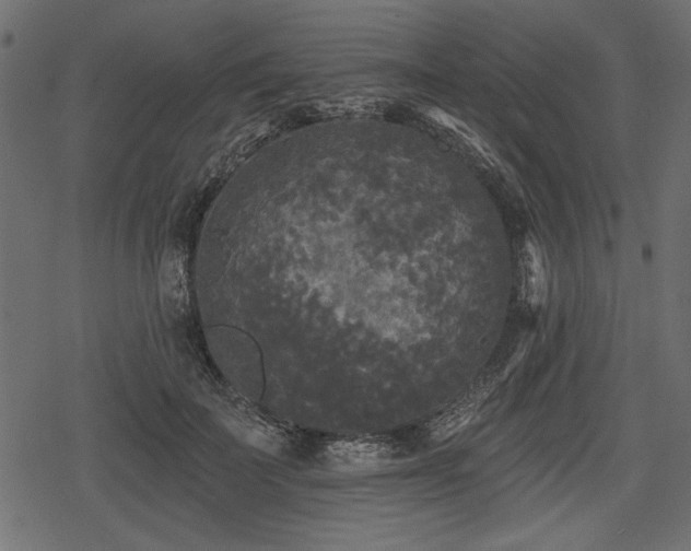 X0000078290699200611031232