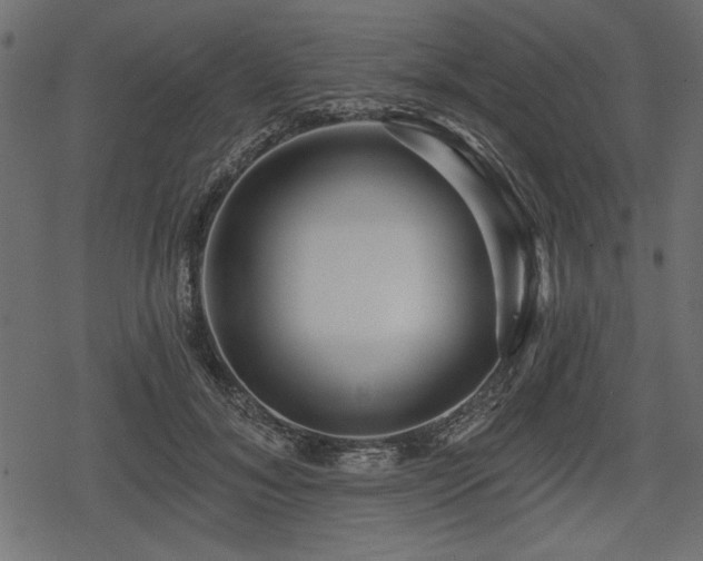 X0000078290700200611031232