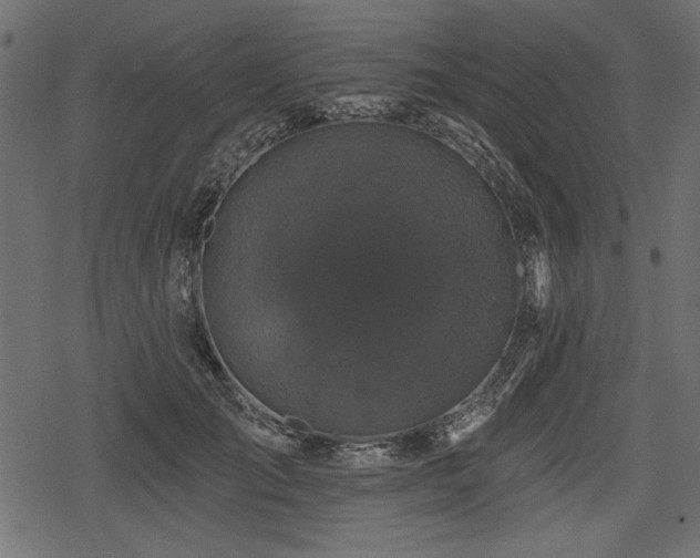 X0000078290701200611031232