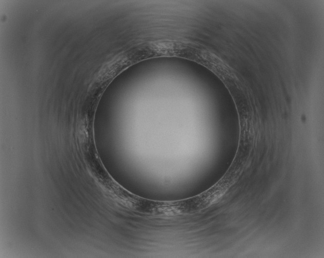 X0000078290702200611031232