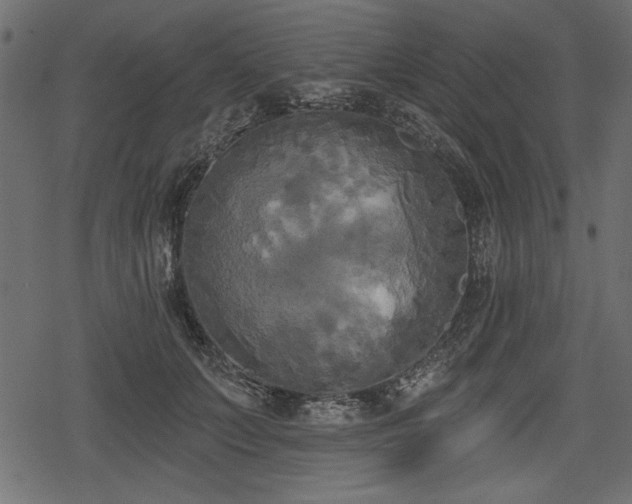 X0000078290703200611031232