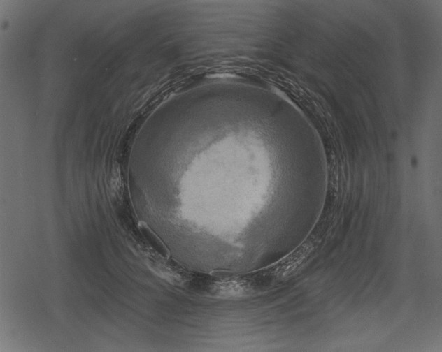 X0000078290704200611031232