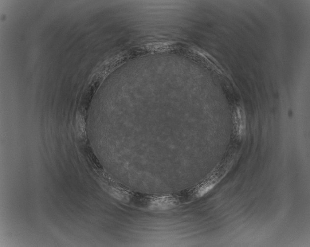 X0000078290705200611031232