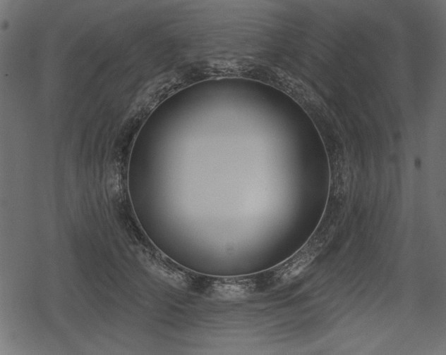 X0000078290706200611031232