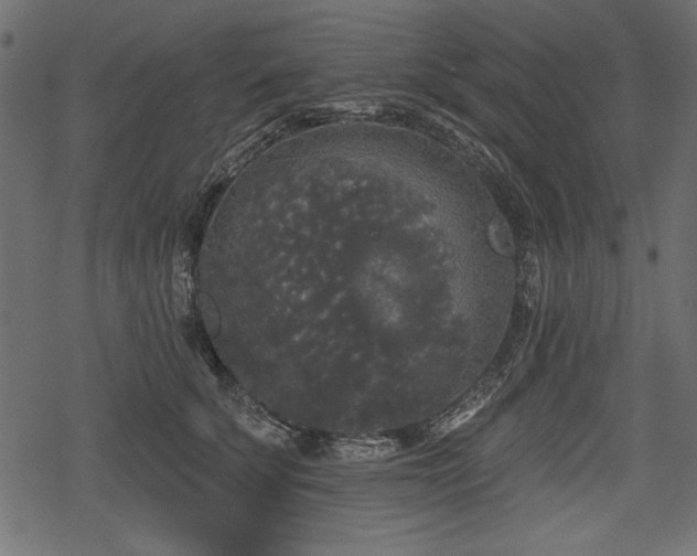 X0000078290707200611031232