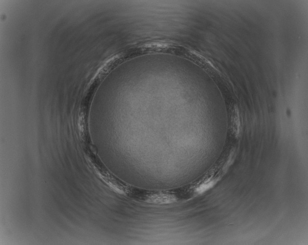 X0000078290708200611031232