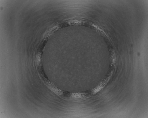 X0000078290709200611031232