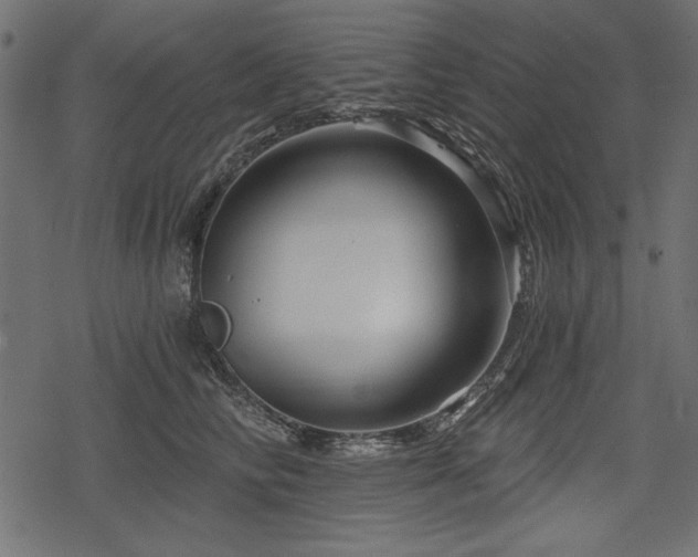 X0000078290710200611031232