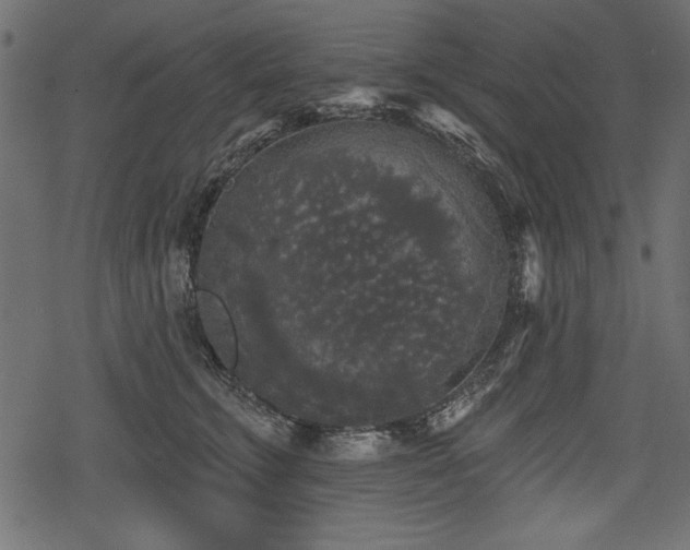 X0000078290711200611031232