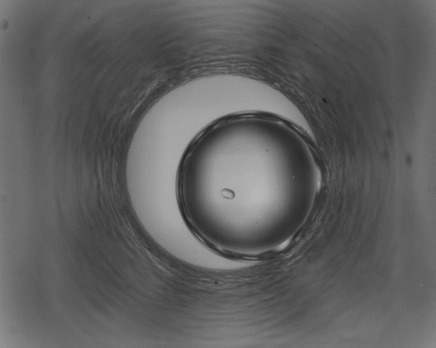 X0000078290712200611031232