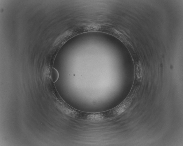 X0000078290714200611031231